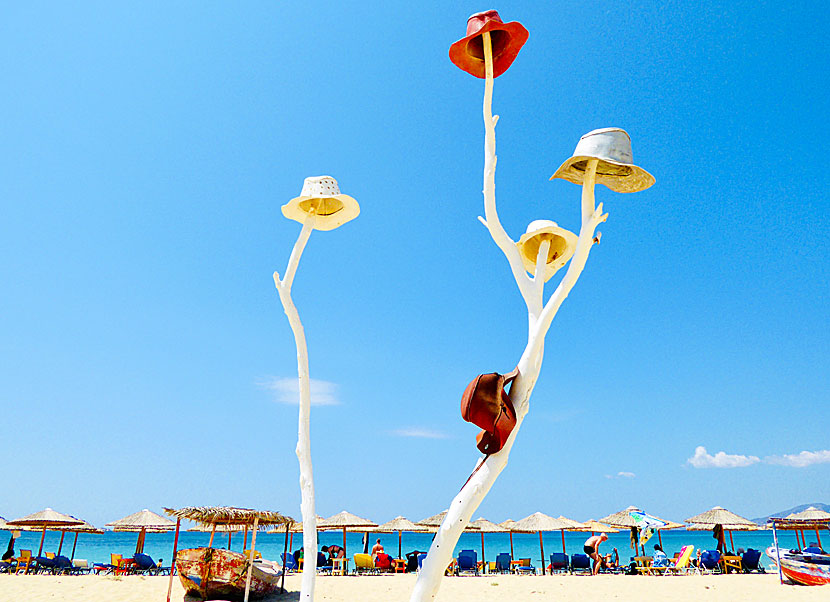 Det berömda hatträdet vid Plaka beach på Naxos.