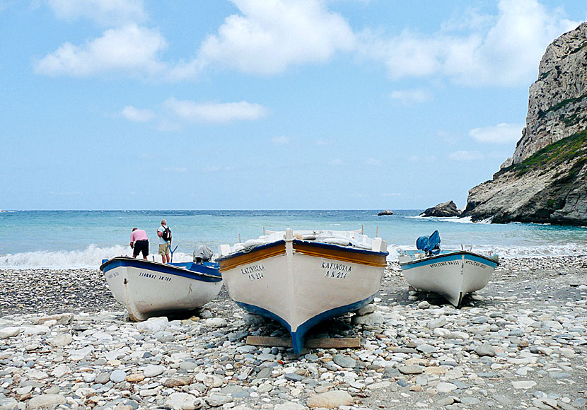 Lionas är ett litet fisksamhälle som ligger på Naxos östra kust, cirka 27 kilometer nordost om Naxos stad, 