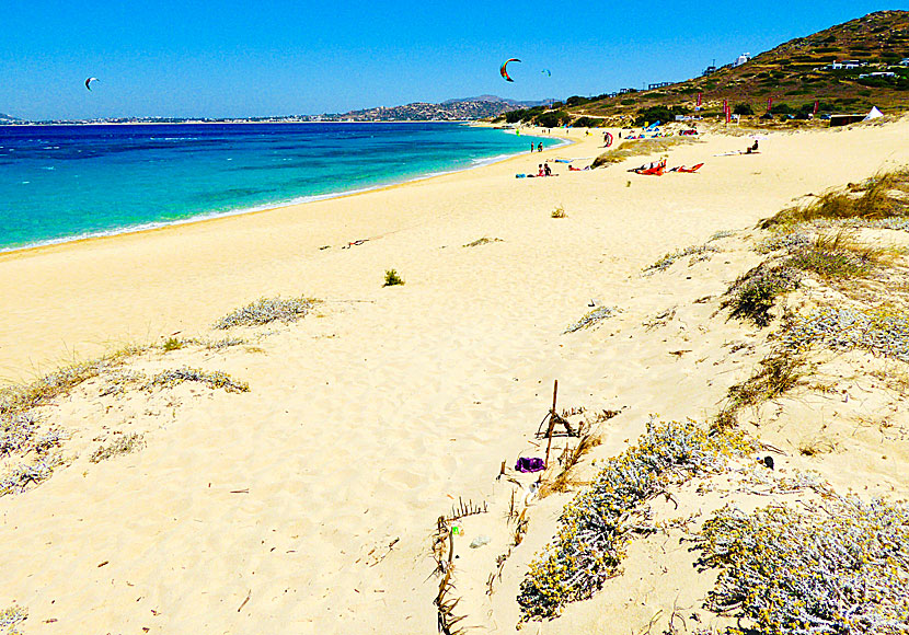 Mikri Vigla beach. Naxos.