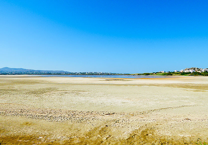 Lake Aliki nära Agios Prokopios på Naxos.