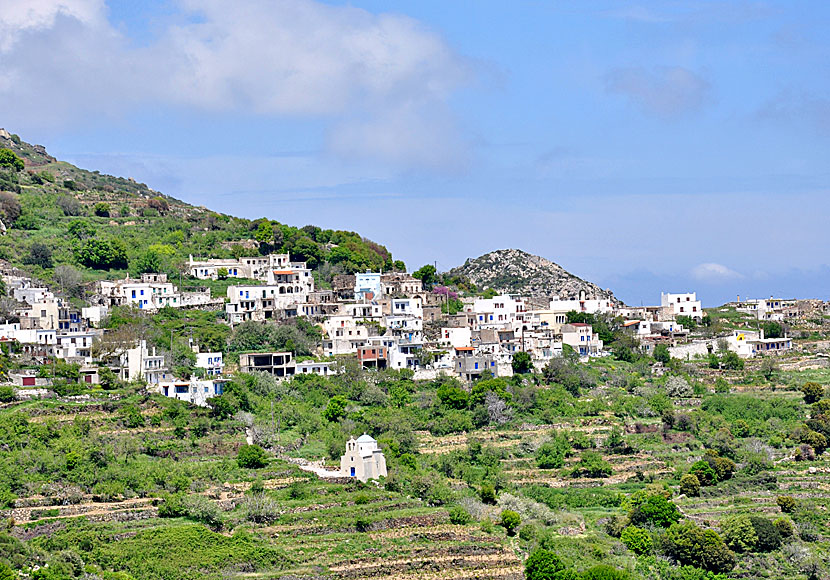 Bergsbyn Skado på Naxos näst högsta berg med sina 999 meter över havet.
