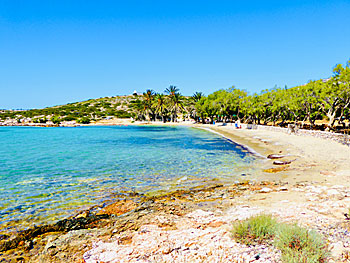 Fina och barnvänliga sandstränder på Paros i Kykladerna.