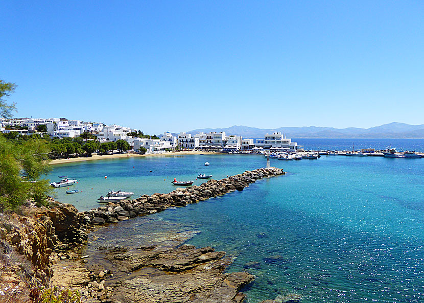 Piso Livadi beach på Paros.