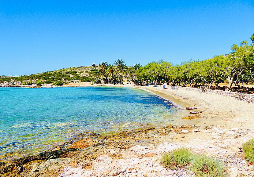 Agia Irini. Palm Beach. Paros.