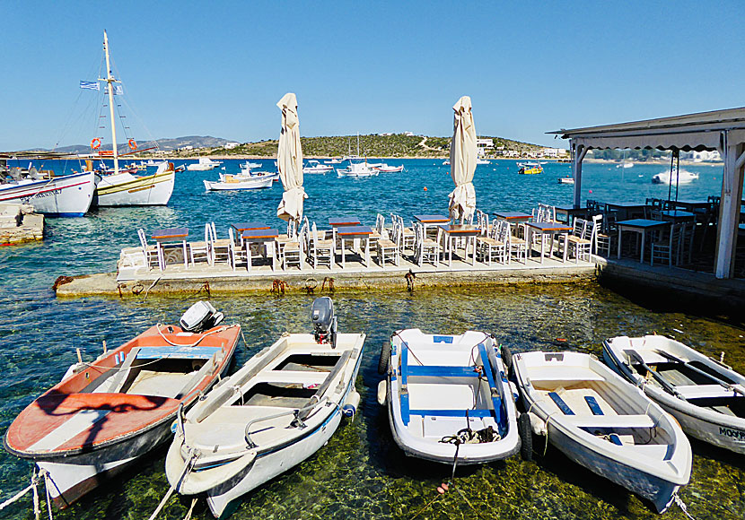 Fiskebåtarna i Aliki på Paros ligger längs med fiskrestaurangerna. 