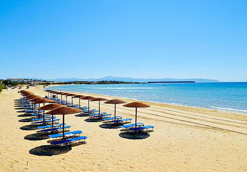 Missa inte Golden beach när du reser till Logaras och Piso Livadi på Paros.