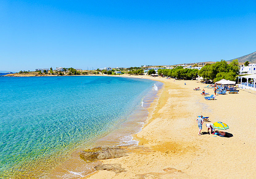 Logaras beach nära Piso Livadi på Paros.