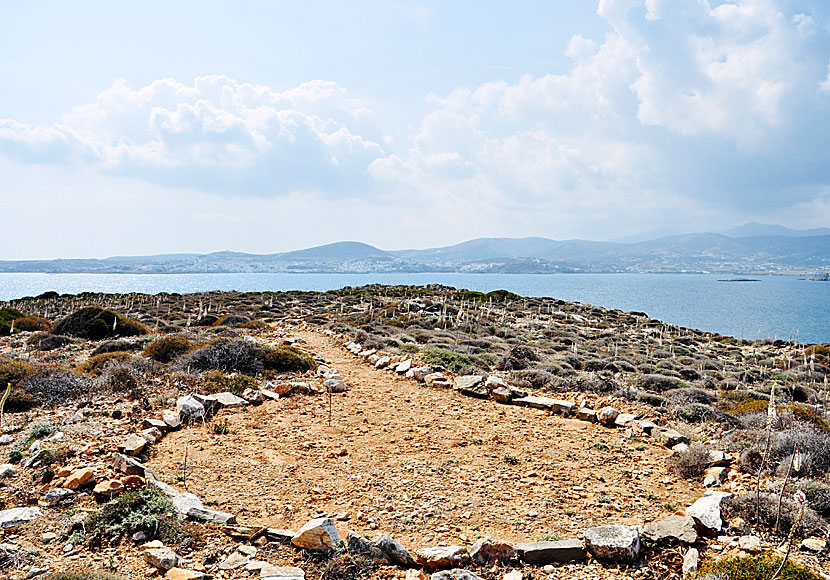 Från Naoussa är det nära till stränderna Monastiri och Kolymbithres, samt till Cultural Park of Paros. 