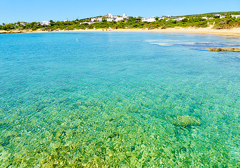 En av sandstränderna i Santa Maria på nordöstra Paros. 