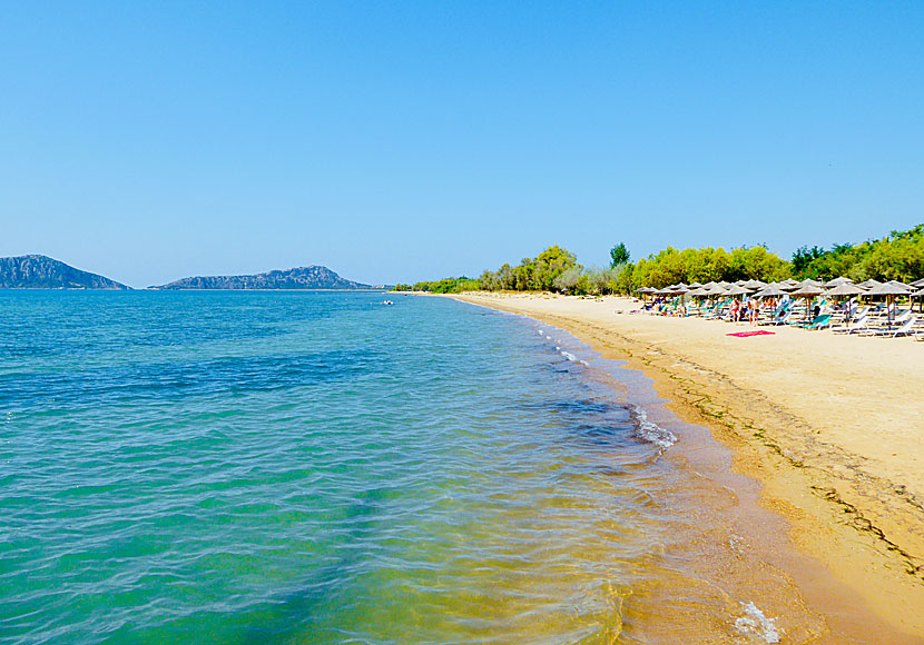 Gialova beach norr om Pylos på Peloponnesos i Grekland.