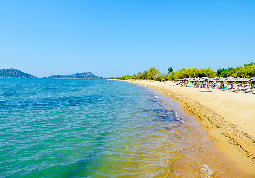 Gialova beach som ligger nära Pylos och Kalamaris waterfall på Peloponnesos.