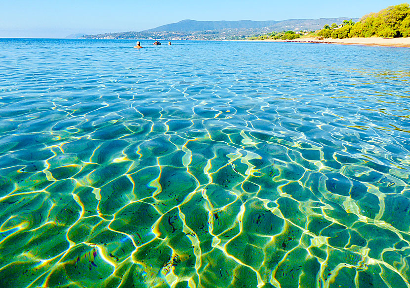 Det ljuvliga vattnet vid Zaga beach i Koroni.