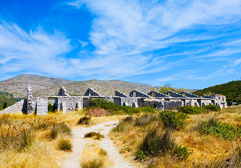 Våtmarken Alyki när Mykali beach på östra Samos. 