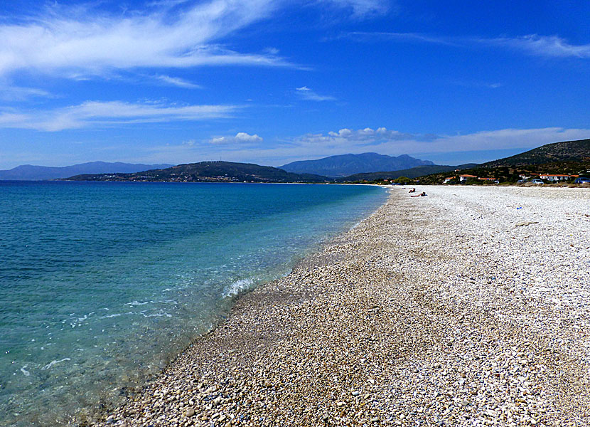 Samos bästa stränder. Mykali beach. 