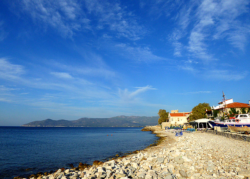 Samos bästa stränder. Tarsanas beach. 