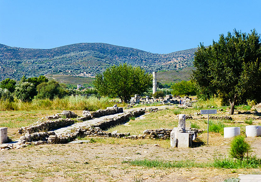Heras tempel nära Ireon och Pythagorion på Samos.