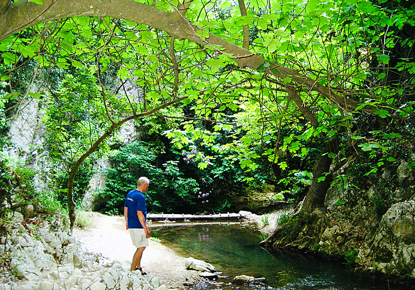 Vandra till vattenfallet i Potami på Samos i Grekland.