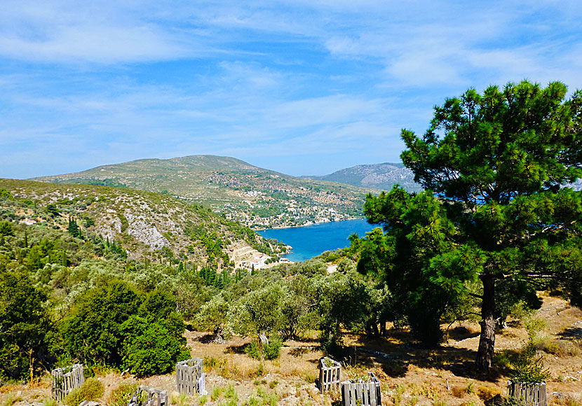 Det mycket vackra landskapet på östra gröna Samos där Kerveli beach ligger. 