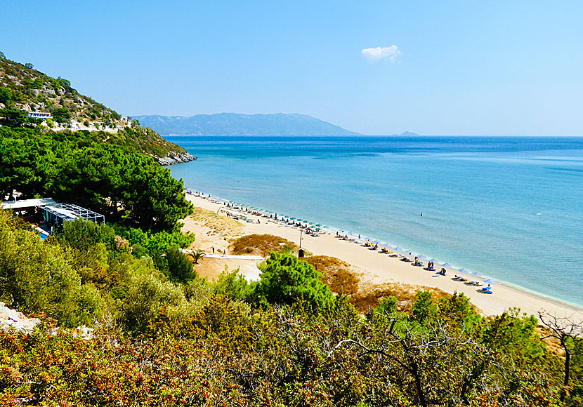 Paris Restaurant och Psili Ammos Restaurant ovanför stranden Psili Ammos  beach på västra Samos. 