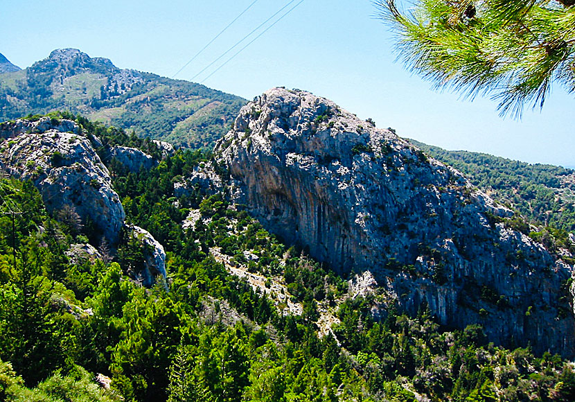 Längs vägen till Drakei på Samos är landskapet vilt och vackert. 