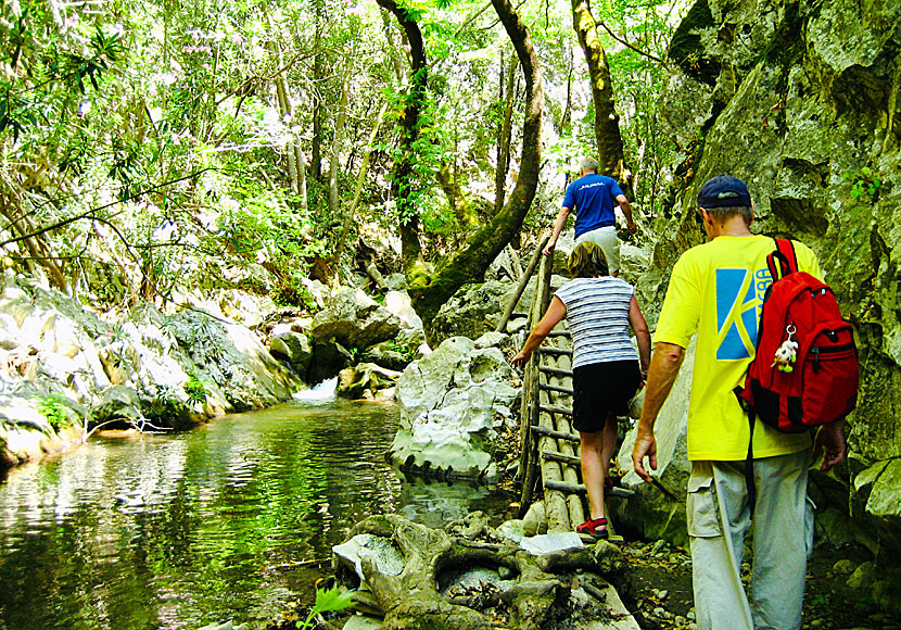 Potami Waterfalls på Samos.