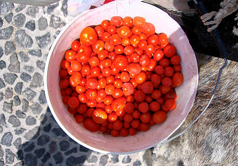 Tomater från Santorini anses vara de godaste i hela Grekland.
