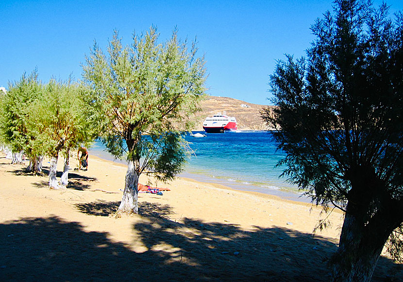 Skuggande tamarisker längs Livadaki beach nära  Livadi på Serifos.