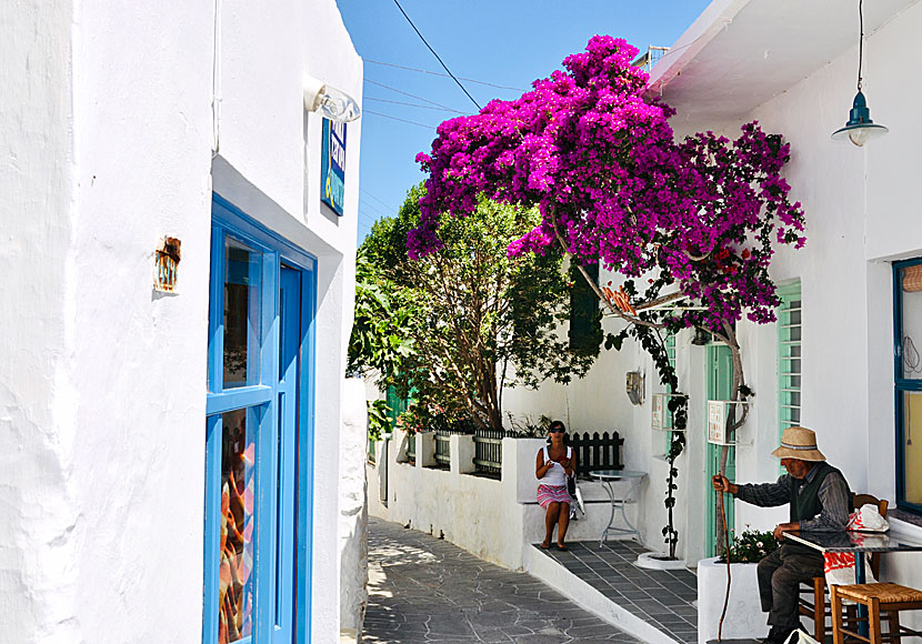 Bageri i Apollonia på Sifnos.