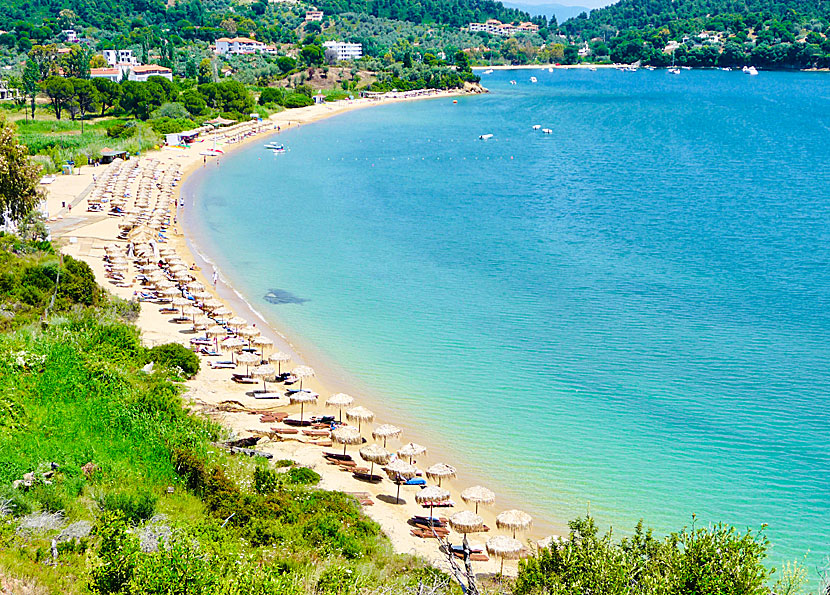 Skiathos bästa stränder. Agia Paraskevi  beach.