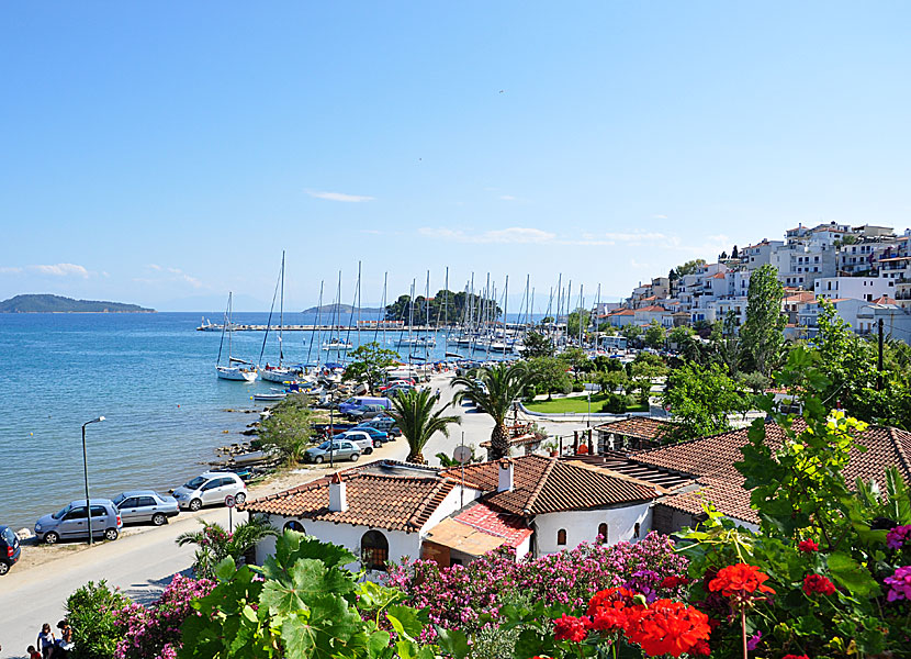 Segelbåtshamnen i Skiathos stad.