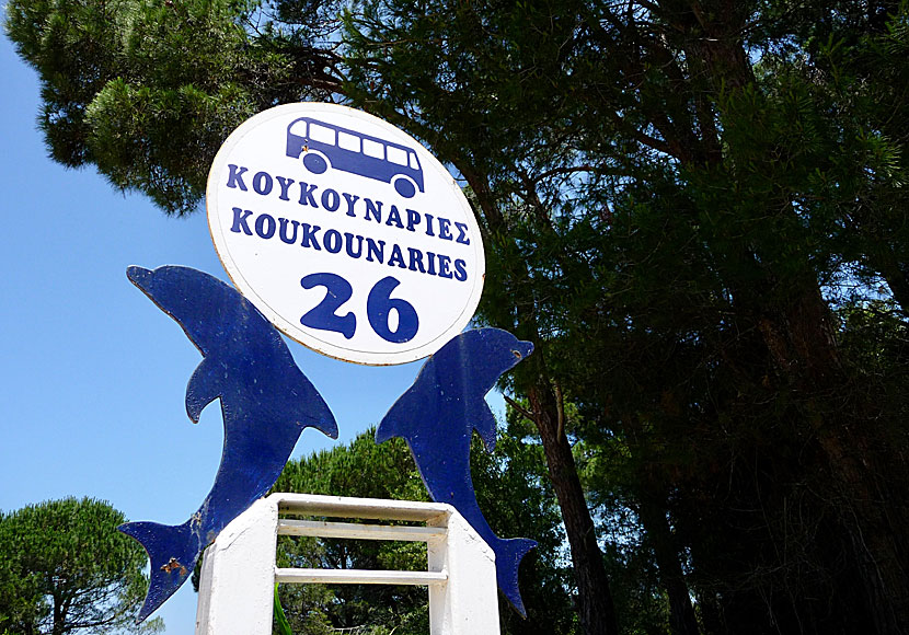 Koukounaries busshållplats har nummer 26 och är det sista stoppet på bussresan från Skiathos stad.