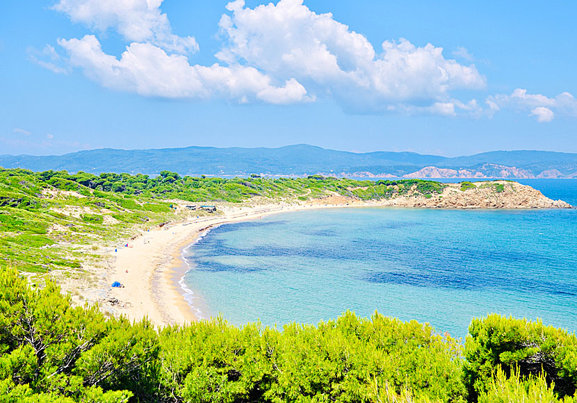 Elias beach på norra Skiathos i Grekland.