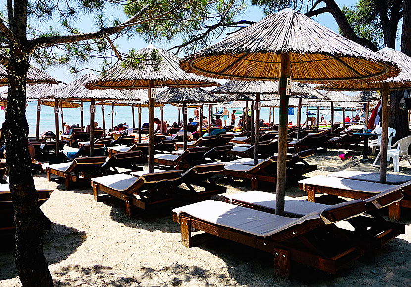 Hyra solstolar och parasoll på restaurangerna vid Koukounaries beach.