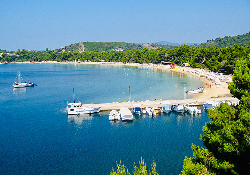 Skiathos bästa stränder. Koukounaries beach.