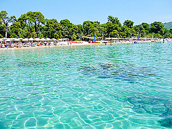 Koukounaries beach på Skiathos. 