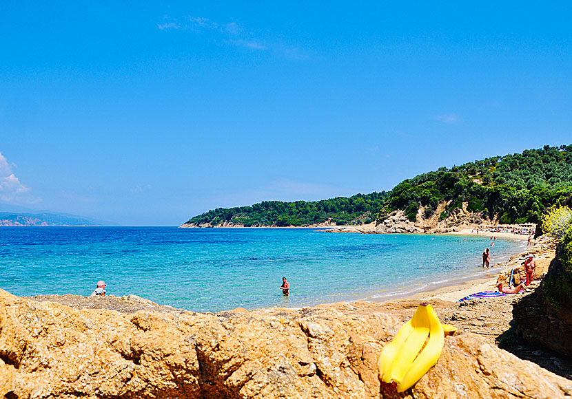 Little Banana beach på Skiathos i Grekland.