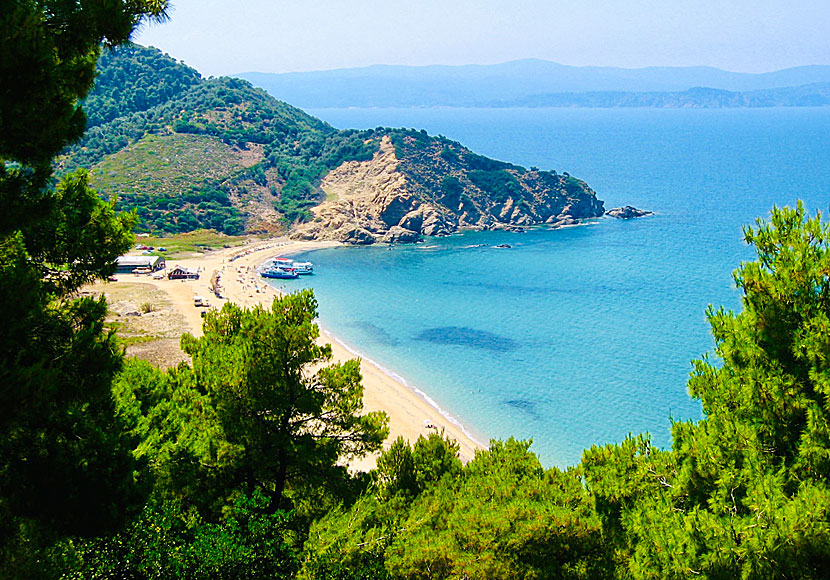 Megalos Aselinos beach på Skiathos.