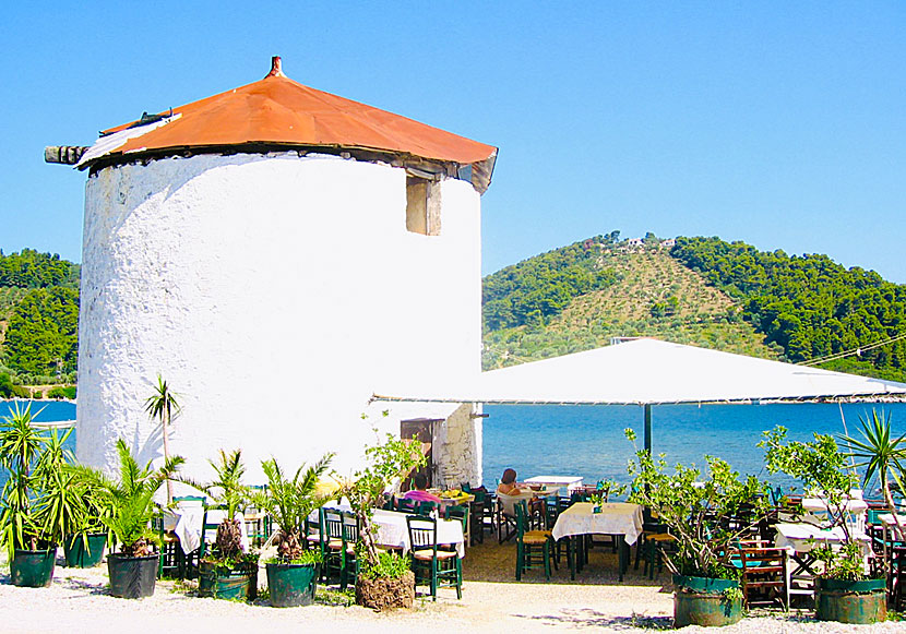 Taverna Myli på Skiathos där man kan titta på flygplan som startar och landar. 