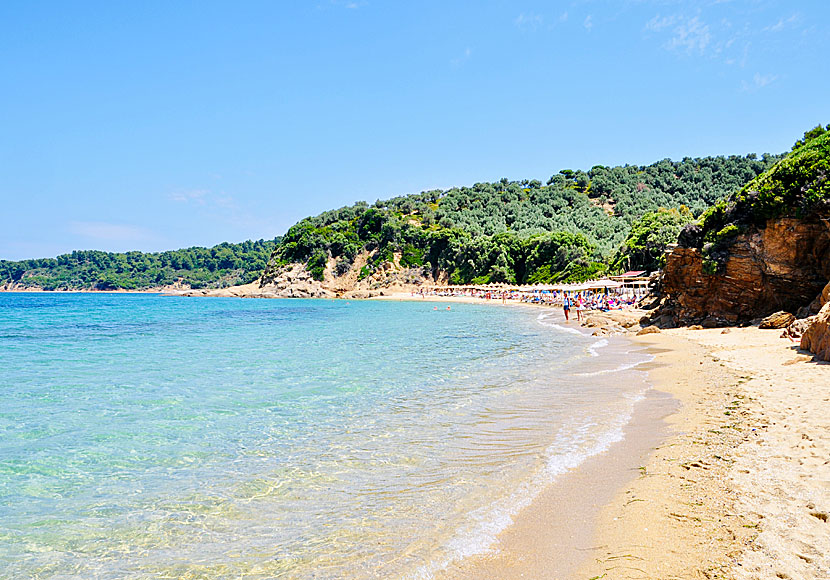 Little Banana beach är en av Skiathos bästa sandstränder.