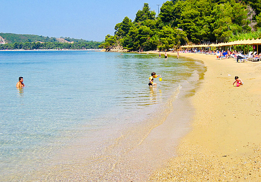 Barnvänliga Maratha beach ligger mellan stränderna Troulos och Koukounaries på Skiathos. 