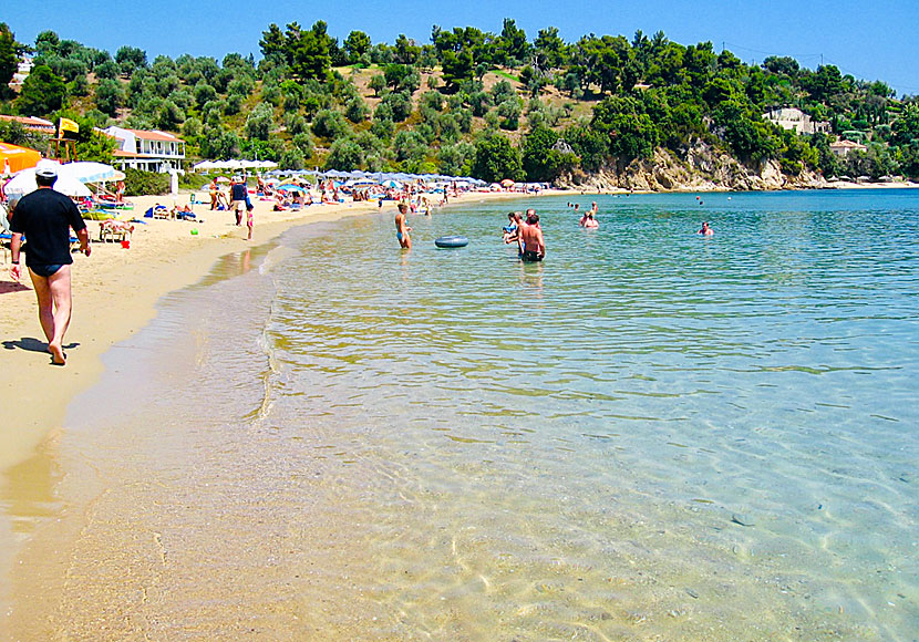 Skiathos bästa stränder. Troulos beach.