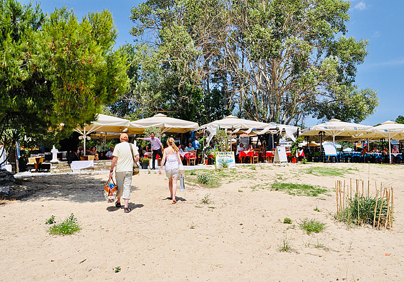 Bra restauranger och tavernor ovanför Troulos beach på ön Skiathos i Grekland.