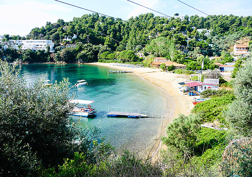 Tzaneria beach på Skiathos i Sporaderna.