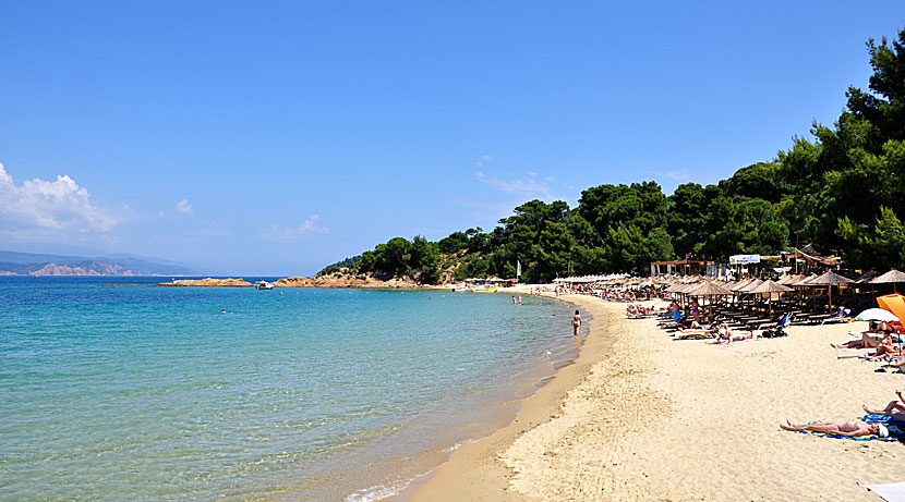 Banana beach. Skiathos.