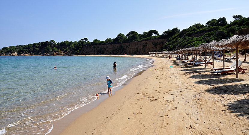 Mandraki beach. Skiathos.