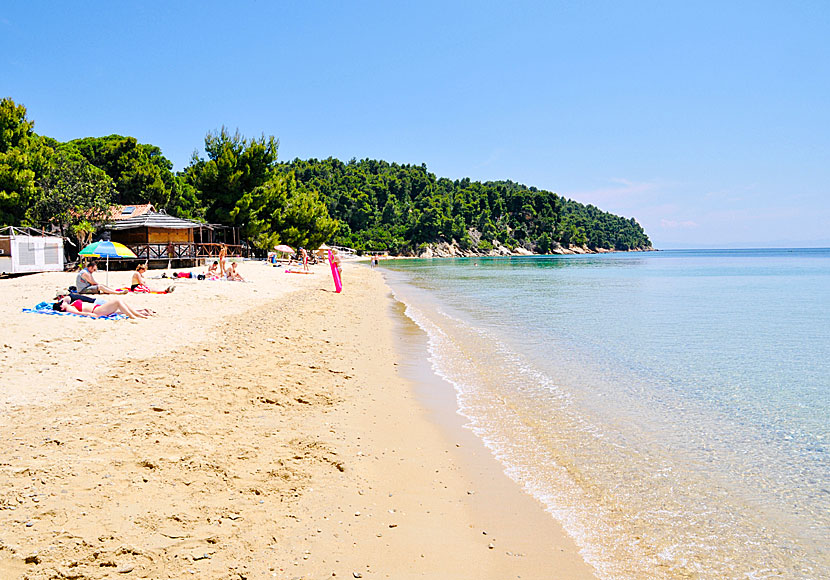 Vromolimnos beach på Skiathos i Sporaderna.