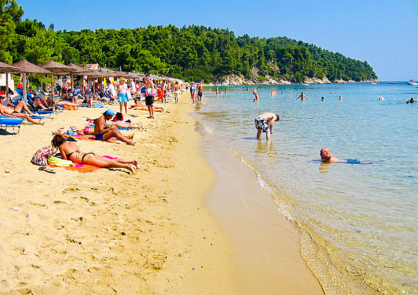 Vromolimnos är en av Skiathos många barnvänliga stränder. 