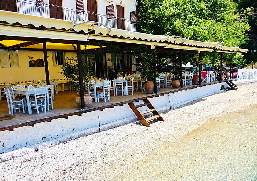 Bra restauranger och tavernor i Agnontas på Skopelos.