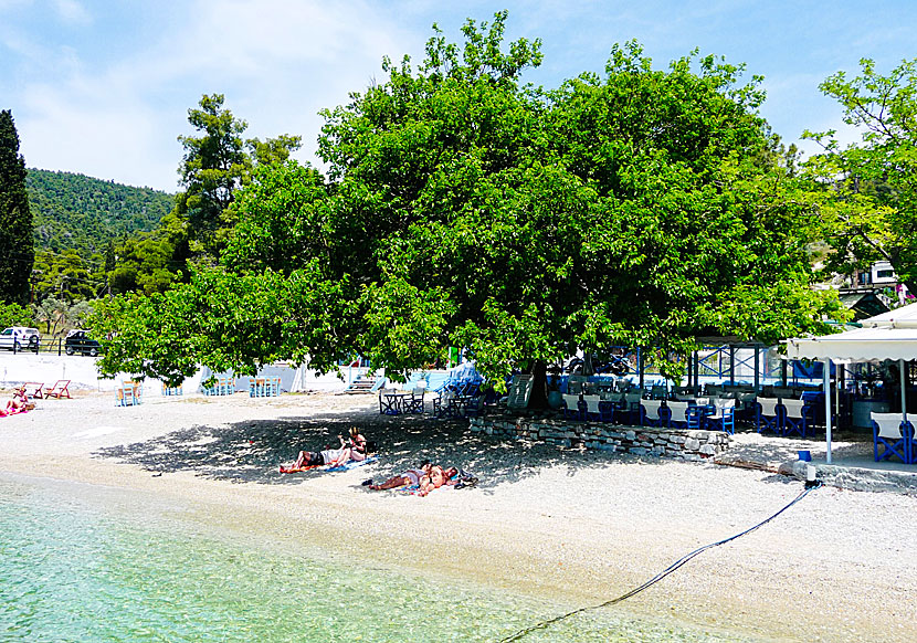 Agnontas beach på Skopelos i Sporaderna.