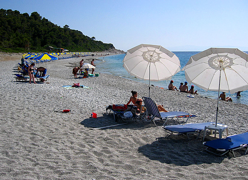 Skopelos bästa stränder.  Milia beach.